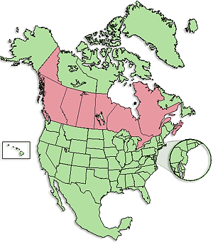 Archdiocese of Canada