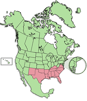 Diocese of the South
