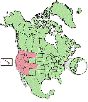 Diocese of the West