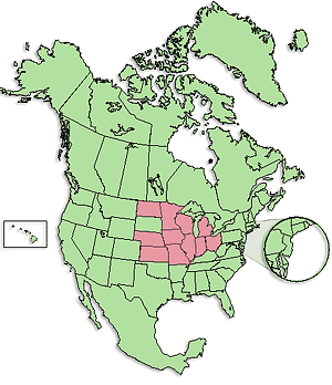 Diocese of the Midwest