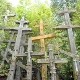 March issue of Wonder features Lenten themes of prayer, fasting and almsgiving