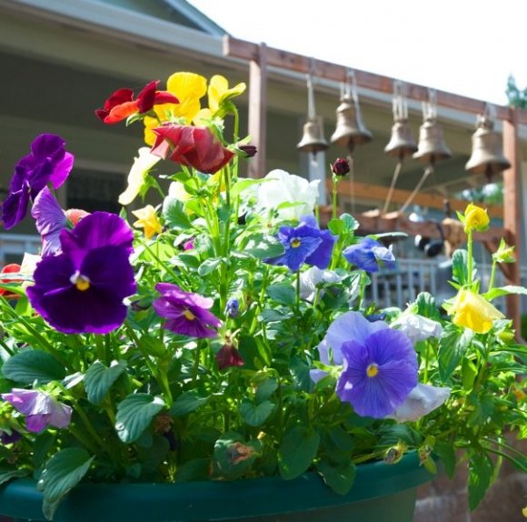 The Liturgical Year Questions & Answers Orthodox Church in America