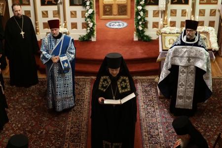 2025-0816-bpvasily14