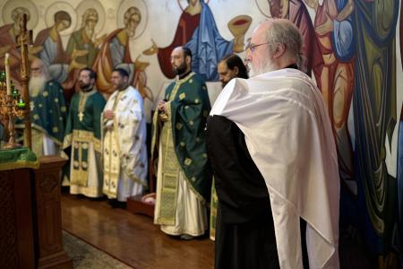 2026-0405-palmsunsvots2