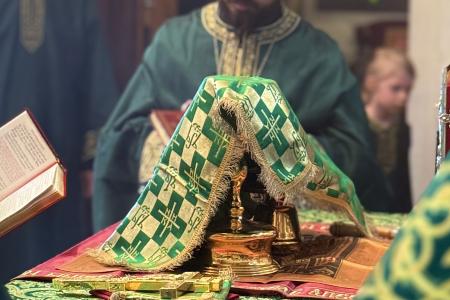 2026-0405-palmsunsvots5