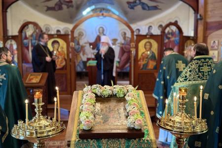 2026-0405-palmsunsvots6