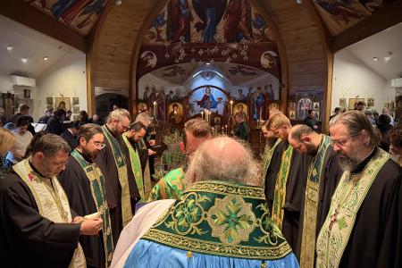 2026-0405-palmsunsvots8