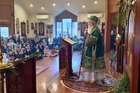 2026-0405-palmsunsvots9